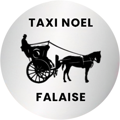 taxi-noel-falaise-logo